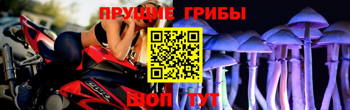 Псилоцибиновые грибы Magic Shrooms  купить наркотики сайты  Губкин  Псилоцибиновые грибы Psilocybine cubensis  Вход с VPN 